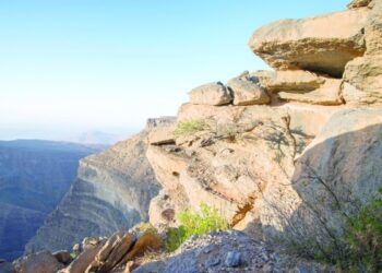 Join the crowd, be a tourist and enjoy long weekend