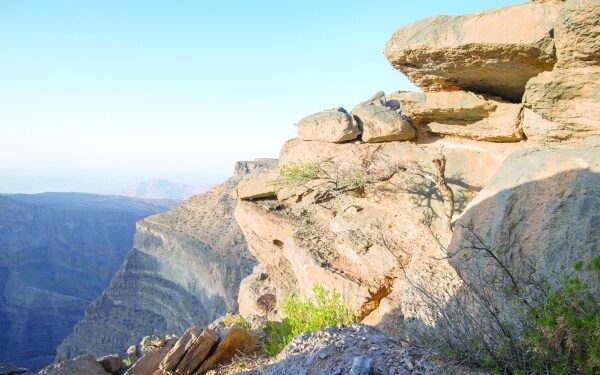 Join the crowd, be a tourist and enjoy long weekend