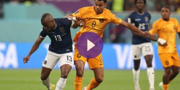 التعادل الإيجابي يحسم مواجهة هولندا والإكوادور