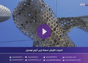 رسالة للعالم تنبه من خطورةِ انقراض الحوت القرش