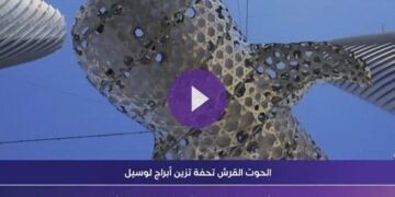 رسالة للعالم تنبه من خطورةِ انقراض الحوت القرش