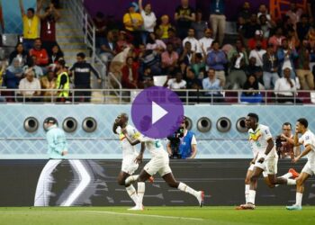 مشاهدة مباراة الإكوادور والسنغال بث مباشر وحصرياً على beIN SPORTS