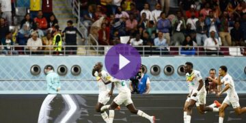مشاهدة مباراة الإكوادور والسنغال بث مباشر وحصرياً على beIN SPORTS
