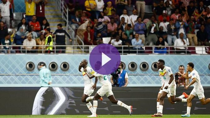 مشاهدة مباراة الإكوادور والسنغال بث مباشر وحصرياً على beIN SPORTS