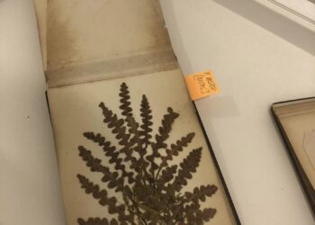 “طبوغرافيّة المكان”.. مقتنيات توثّق للأراضي المقدسة خلال قرن من الزمان