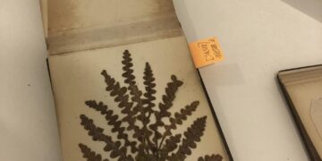 “طبوغرافيّة المكان”.. مقتنيات توثّق للأراضي المقدسة خلال قرن من الزمان