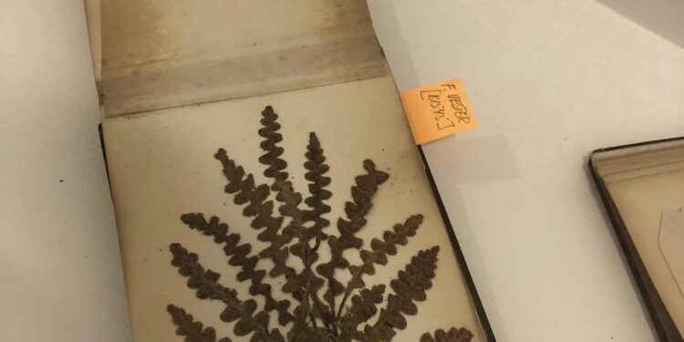 “طبوغرافيّة المكان”.. مقتنيات توثّق للأراضي المقدسة خلال قرن من الزمان