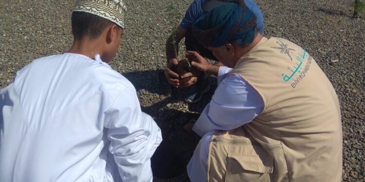 FD4E6909 04B1 41FF 81FE DC58AA62FB12