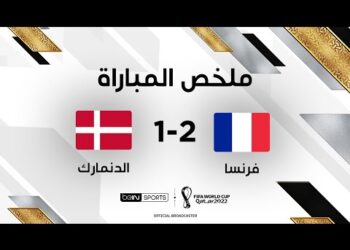 ملخص مباراة فرنسا والدنمارك | المنتخب الفرنسي أول المتأهلين إلى ثمن النهائي