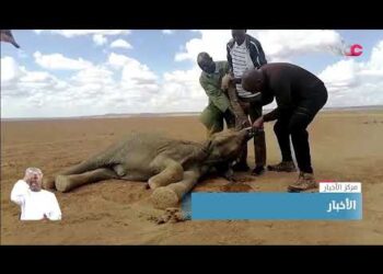 السلطات الأسترالية تجلي آلاف السكان من عدة بلدات في ولاية نيو ساوث ويلز جراء تحذيرات من الفيضانات