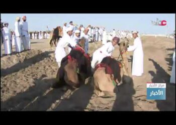 انطلاق فعاليات ركض العرضة لسباقات الهجن الأهلية على مضمار منطقة الفليج بولاية بركاء