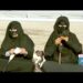 ولاية بهلاء بمحافظة الداخلية تنظم عرضة الخيل التقليدية