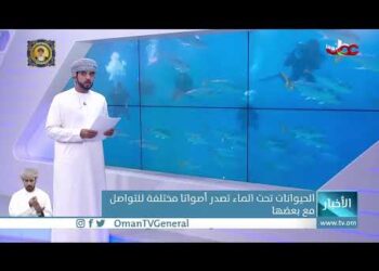 #أخبار_العاشرة | الثلاثاء 8 نوفمبر 2022م