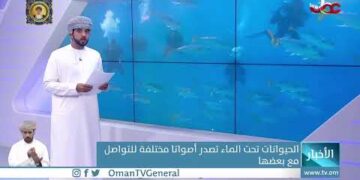 #أخبار_العاشرة | الثلاثاء 8 نوفمبر 2022م
