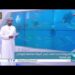 #أخبار_العاشرة | الثلاثاء 8 نوفمبر 2022م