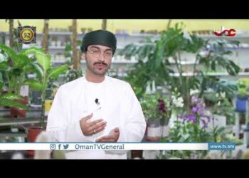 #أما_بعد | كيف تؤثر النباتات على بيئة الأماكن؟