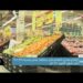 ارتفاع معدل التضخم في سلطنة عمان بنسبة ٢,٣٩ %في شهر أكتوبر ٢٠٢٢م
