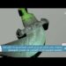 سلطنة عمان تتمكن من إدراج الخنجر العماني وحداء الإبل في القائمة التمثيلية للتراث الثقافي غير المادي