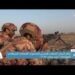 ختام البيان العملي للتمرين العسكري العماني البريطاني المشترك “خنجر عمان ٢٠٢٢ “
