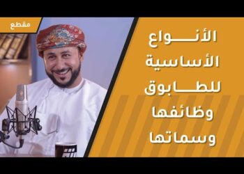 الأنواع الأساسية للطابوق ووظائفها وسماتها