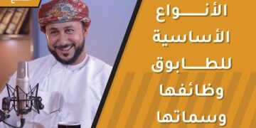 الأنواع الأساسية للطابوق ووظائفها وسماتها