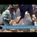الفاو: تكاليف استيراد الغذاء ترتفع بشكل قياسي هذا العام