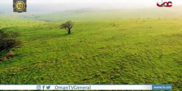 #أخبار_العاشرة | الجمعة 11 نوفمبر 2022م