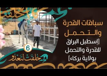 سباقات القدرة والتحمل [إسطبل البراق للقدرة والتحمل ببركاء] – خُلقت لتعدو #6