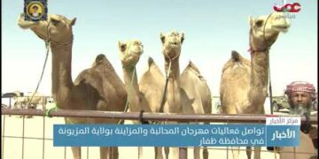 تواصل فعاليات مهرجان المحالبة والمزاينة بولاية المزيونة في محافظة ظفار