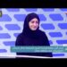 د. إقبال العامرية توضح أهمية عملية زراعة البذور المشعة لعلاج سرطان البروستات
