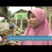 إندونيسيا تواصل جهود الإنقاذ مع ارتفاع ضحايا الزلزال 8 إندونيسيا تواصل جهود الإنقاذ مع ارتفاع ضحايا الزلزال