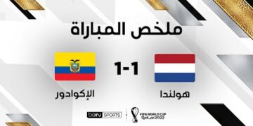 ملخص مباراة هولندا والإكوادور – التعادل الإيجابي يحسم مواجهة هولندا والإكوادور