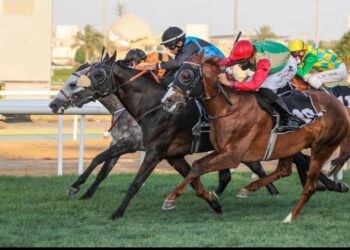 الحصان الثراء للخيالة السُّلطانية يحقق المركز الثاني على مضمار أبوظبي