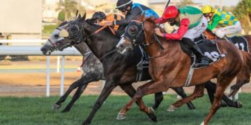 الحصان الثراء للخيالة السُّلطانية يحقق المركز الثاني على مضمار أبوظبي