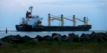 تركيا تعلن شحن أكثر من 3ر10 ملايين طن من الحبوب الأوكرانية