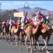 Oman celebrates 51st National Day of UAE