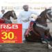 Festival of traditional horse sports kicks off in Ibra