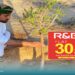 1000 frankincense saplings planted in Dhofar 8 1000 frankincense saplings planted in Dhofar