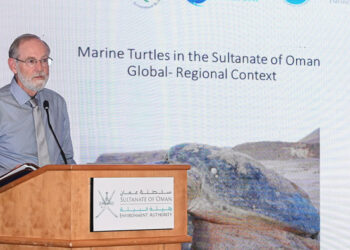 Environment Authority organises workshop on conservation of marine turtles