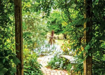 Living in greener places linked to better mental health