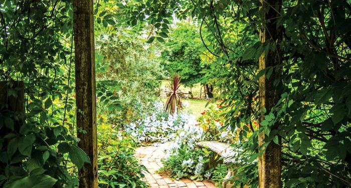 Living in greener places linked to better mental health