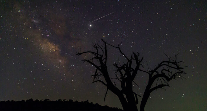 Watch for Geminid meteor showers in Oman skies