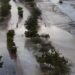 Thunderstorms, rains lash parts of Oman