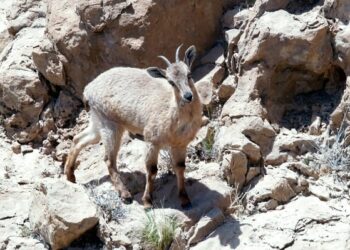 What’s happening in the governorates of Oman?