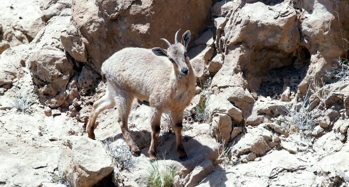 What’s happening in the governorates of Oman?