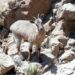 What's happening in the governorates of Oman? 8 What’s happening in the governorates of Oman?