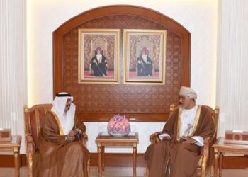 Deputy PM for Defence Affairs receives UAE ambassador