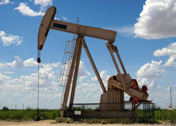 World crude oil prices witness partial recovery