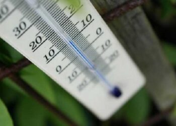 Oman temperature dips below 4 degrees Celsius