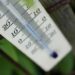 Oman temperature dips below 4 degrees Celsius